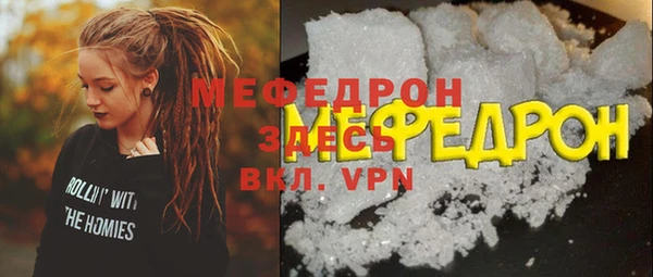 сатива Новодвинск
