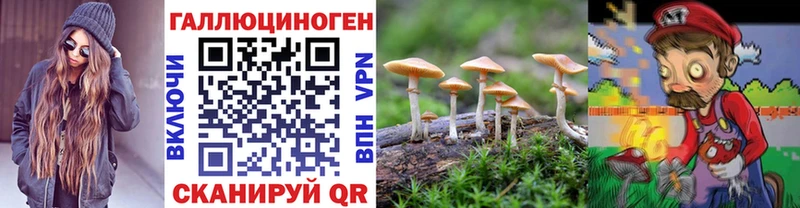 Псилоцибиновые грибы мицелий  Елизаветинская 